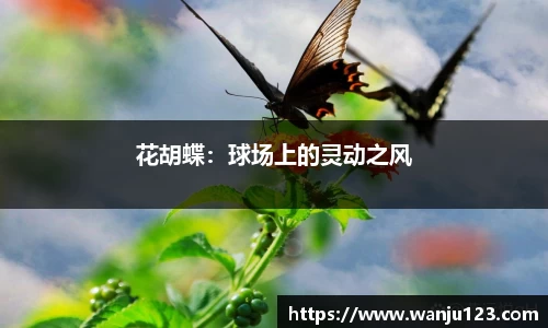 花胡蝶：球场上的灵动之风